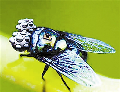 ���ͼƬ������һҳ